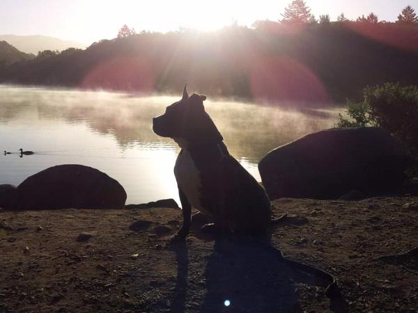 /Images/uploads/Sonoma County Regional Parks Foundation/springlake50/entries/28695thumb.jpg